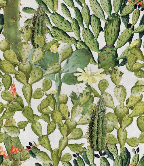 Set di 3 rotoli di carta da parati con stampa digitale Opuntia