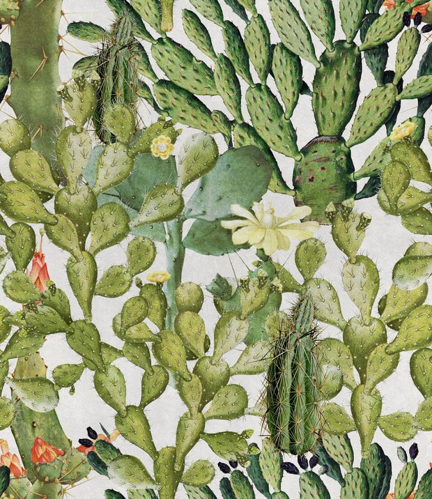Set di 3 rotoli di carta da parati con stampa digitale Opuntia