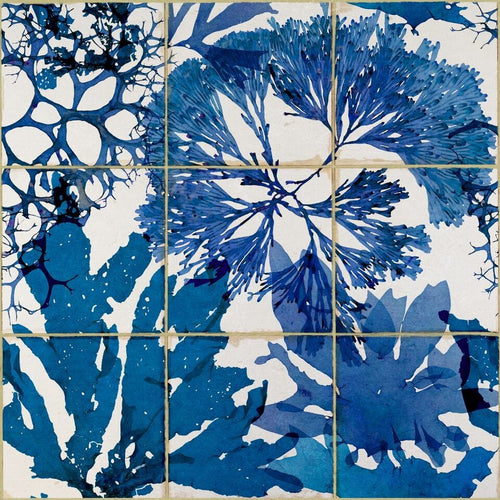 Set di 3 rotoli di carta da parati stampata in digitale Alghe in blu