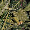 Set di 3 rotoli di carta da parati stampata in digitale Amazonia