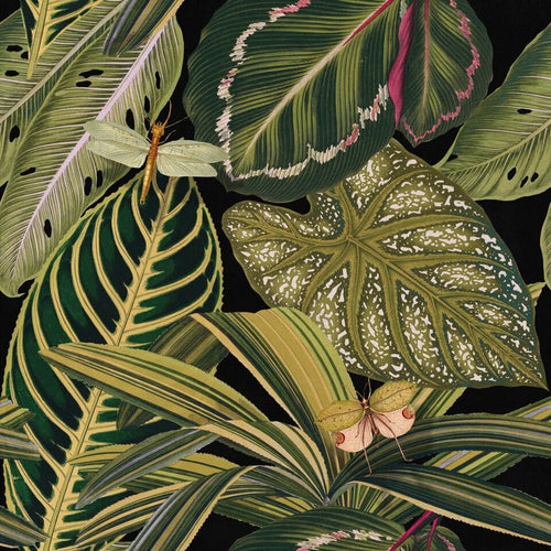 Set di 3 rotoli di carta da parati stampata in digitale Amazonia