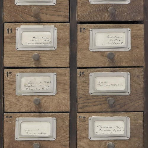 Set di 3 rotoli di carta da parati stampata in digitale Apothecary Neutral