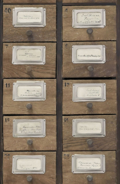 Set di 3 rotoli di carta da parati stampata in digitale Apothecary Neutral (1)