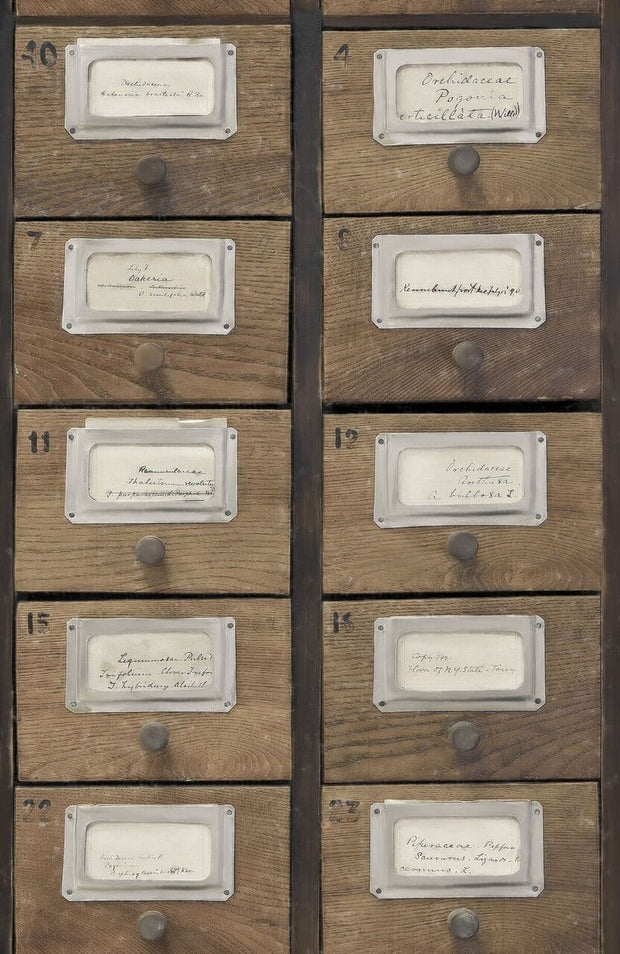 Set di 3 rotoli di carta da parati stampata in digitale Apothecary Neutral (1)
