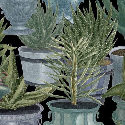 Set di 3 rotoli di carta da parati stampata in digitale Echeveria