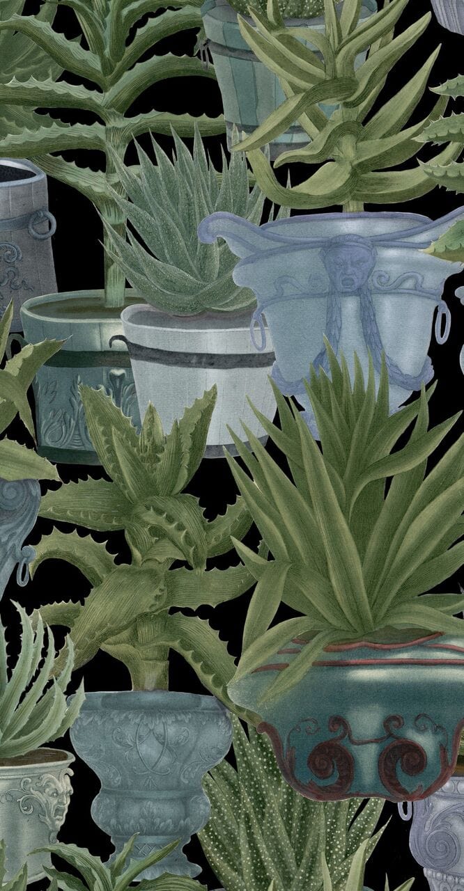 Set di 3 rotoli di carta da parati stampata in digitale Echeveria (2)