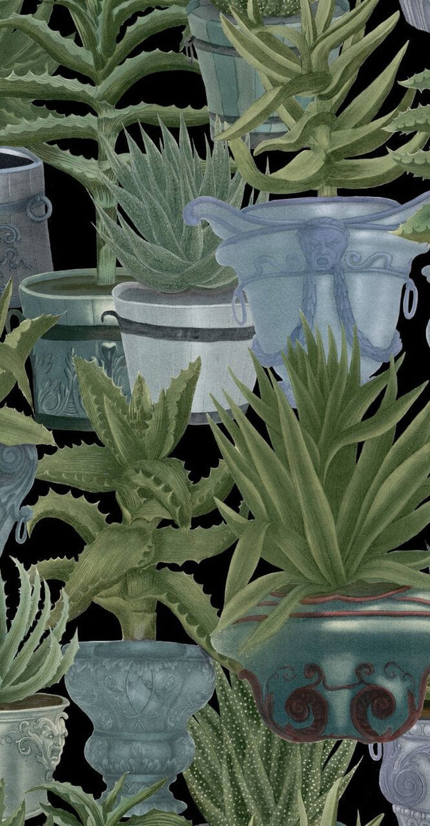 Set di 3 rotoli di carta da parati stampata in digitale Echeveria (2)