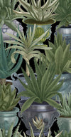 Set di 3 rotoli di carta da parati stampata in digitale Echeveria (3)