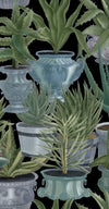 Set di 3 rotoli di carta da parati stampata in digitale Echeveria (4)
