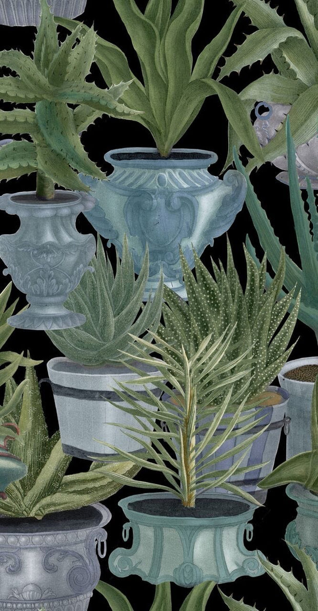 Set di 3 rotoli di carta da parati stampata in digitale Echeveria (4)