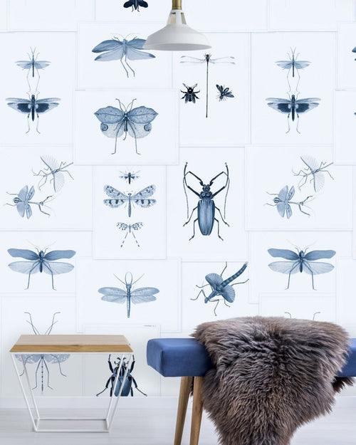 Set di 3 rotoli di carta da parati stampata in digitale Entomologia Blu (1)