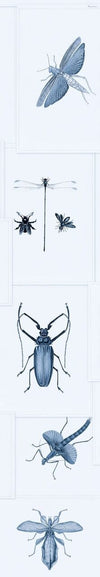Set di 3 rotoli di carta da parati stampata in digitale Entomologia Blu (4)
