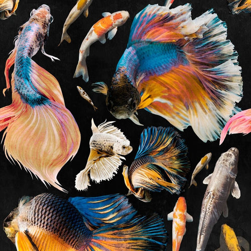 Set di 3 rotoli di carta da parati stampata in digitale Goldfish Antracite