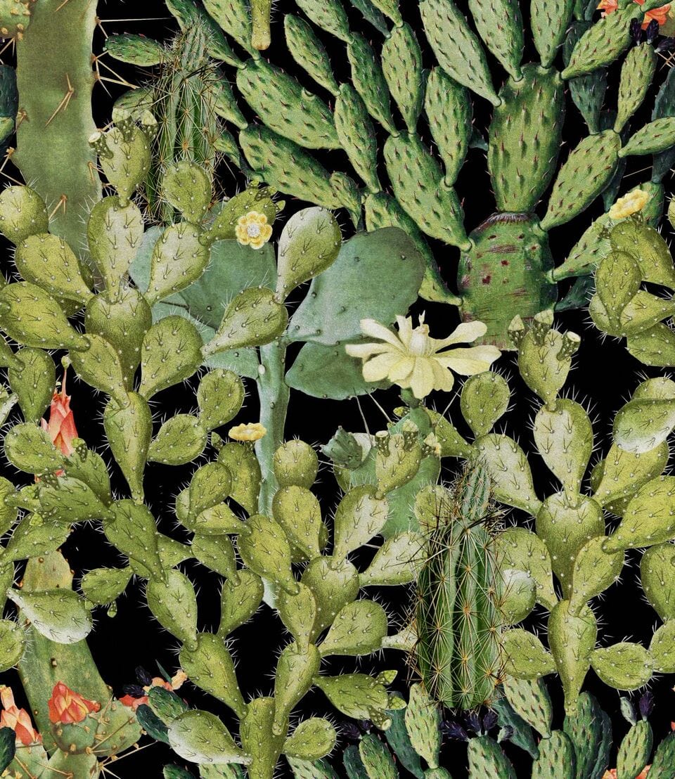 Set di 3 rotoli di carta da parati stampata in digitale Opuntia Antracite