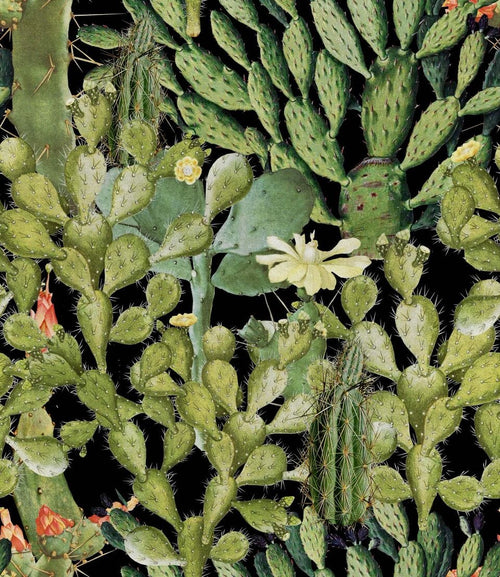 Set di 3 rotoli di carta da parati stampata in digitale Opuntia Antracite