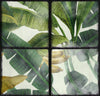 Set di 3 rotoli di carta da parati stampata in digitale Orangerie