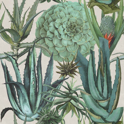 Set di 3 rotoli di carta da parati stampata in digitale Succulentus