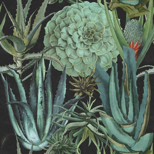 Set di 3 rotoli di carta da parati stampata in digitale Succulentus Antracite