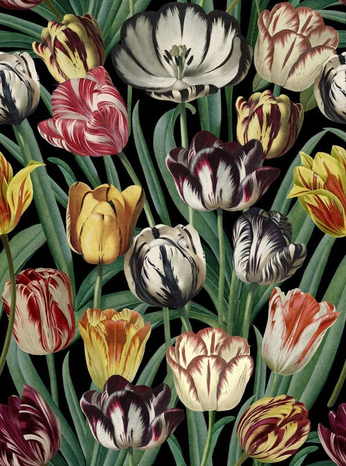 Set di 3 rotoli di carta da parati stampata in digitale Tulipa