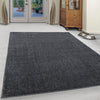 Tappeto Ata 7000 Unicolor Grigio (1)