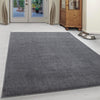 Tappeto Ata 7000 Unicolor Grigio (1)