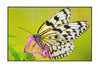 Oyo Tappeto Feal 30 Multicolore