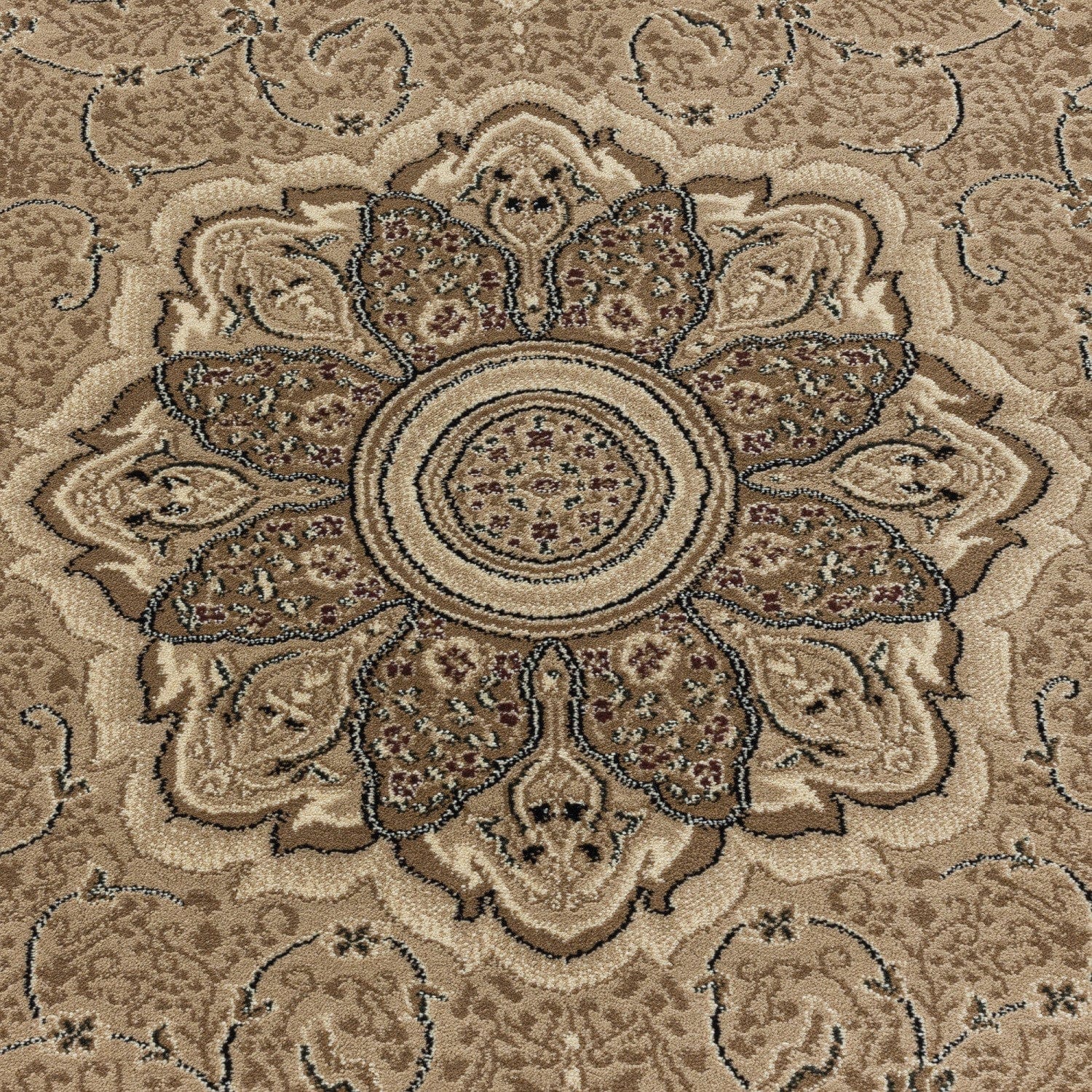 Tappeto Kashmir 2601 Oriental Beige (5)