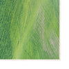Oyo Tappeto Paqueri 34 Multicolore