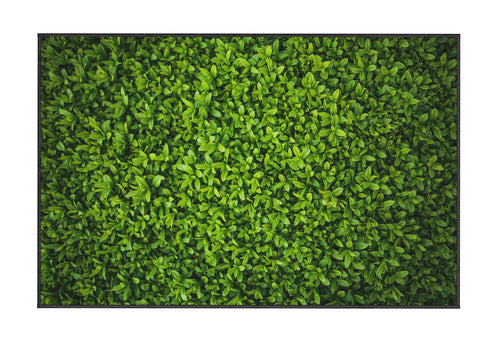 Tappeto Reisim 32 Multicolore