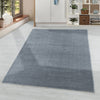 Tappeto Rio 4600 Unicolor Argento (1)