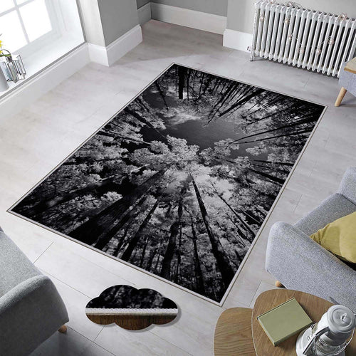 Tappeto Ruya 1902 Multicolore