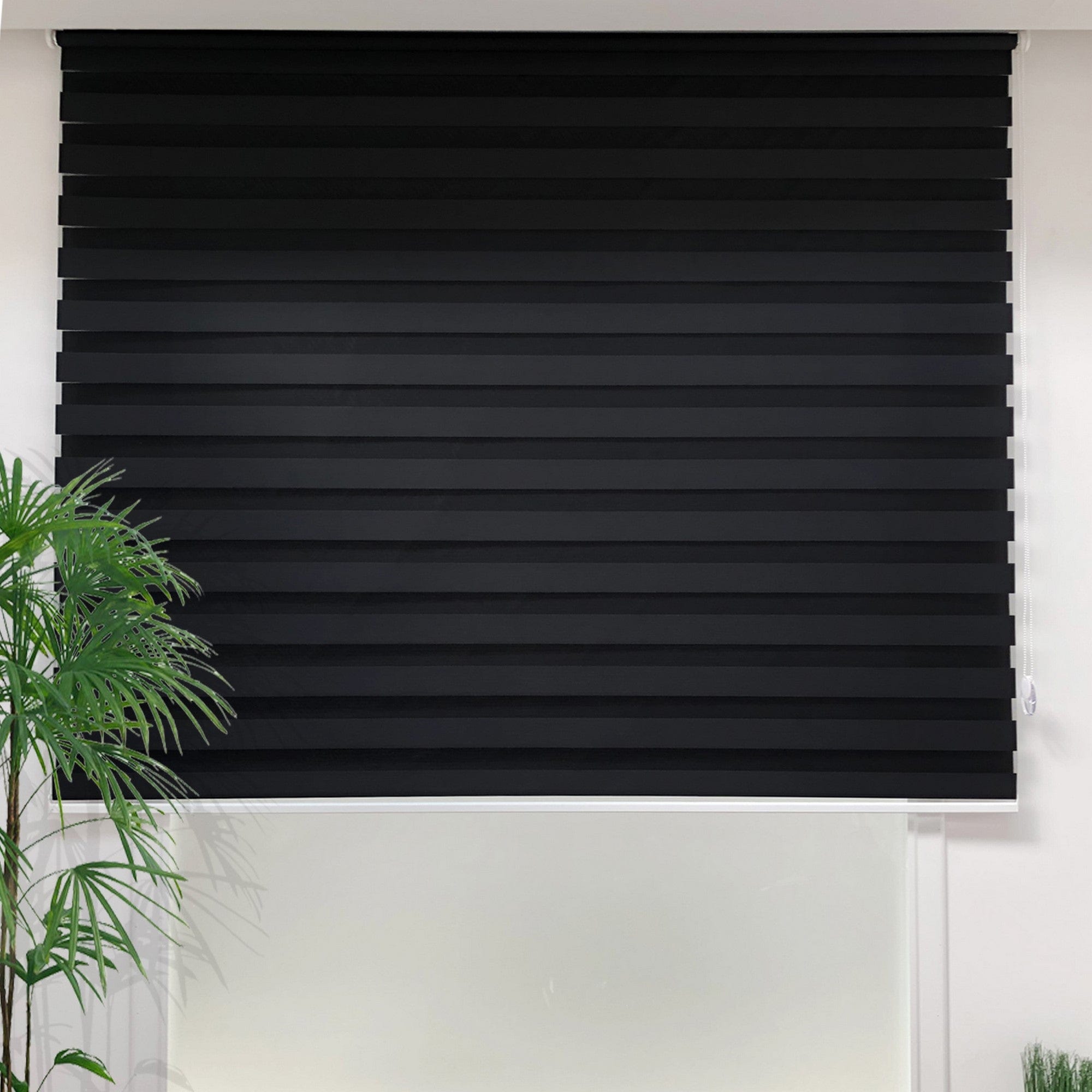 Oyo Tenda a rullo verticale Lizzy Nero