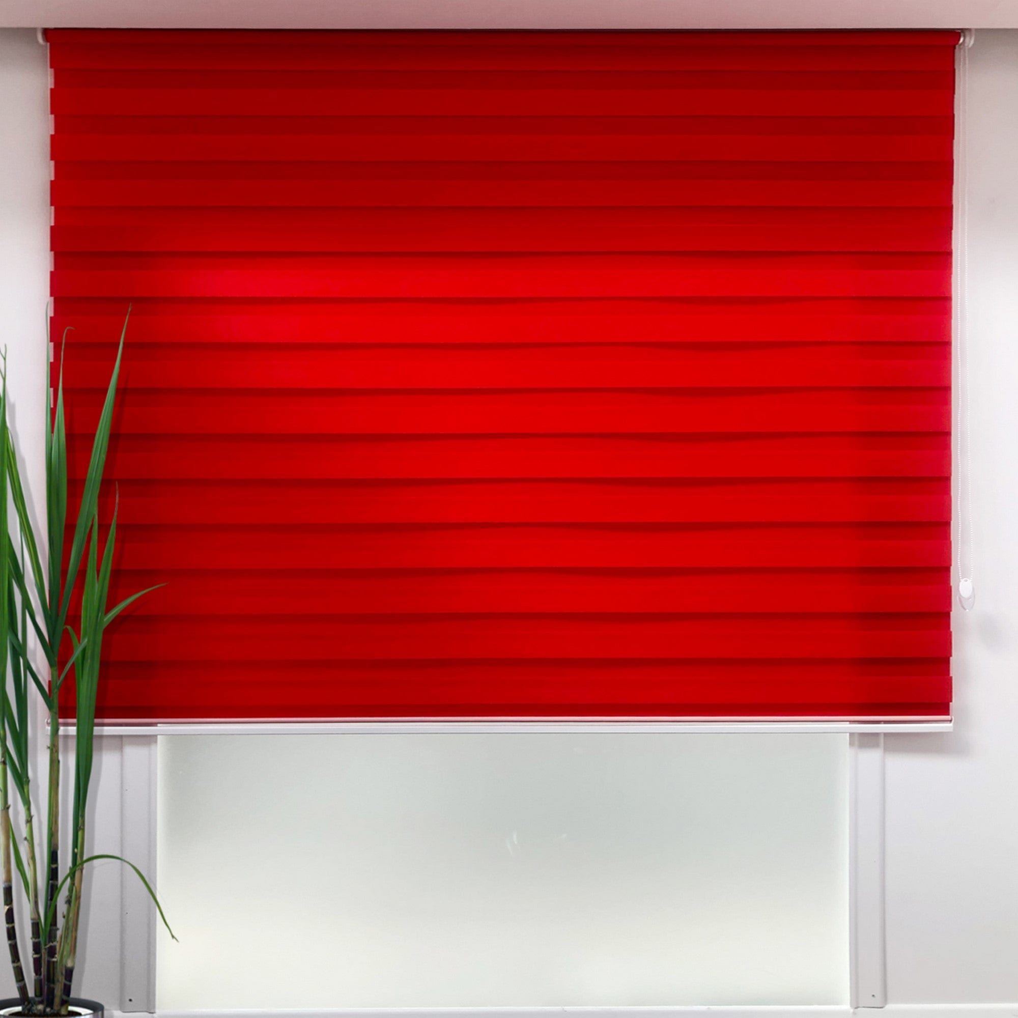 Oyo Tenda a rullo verticale Lizzy Rosso