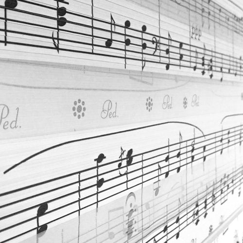 Tenda a rullo verticale Muzical Nero (1)