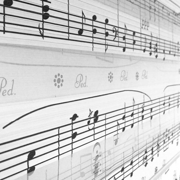 Tenda a rullo verticale Muzical Nero (1)