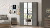 Armadio con 4 ante e specchio New Home Media HM2-CG Grigio (1)