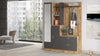 Armadio da ingresso con 4 ante e specchio Gibson DD5-AA Antracite (3)