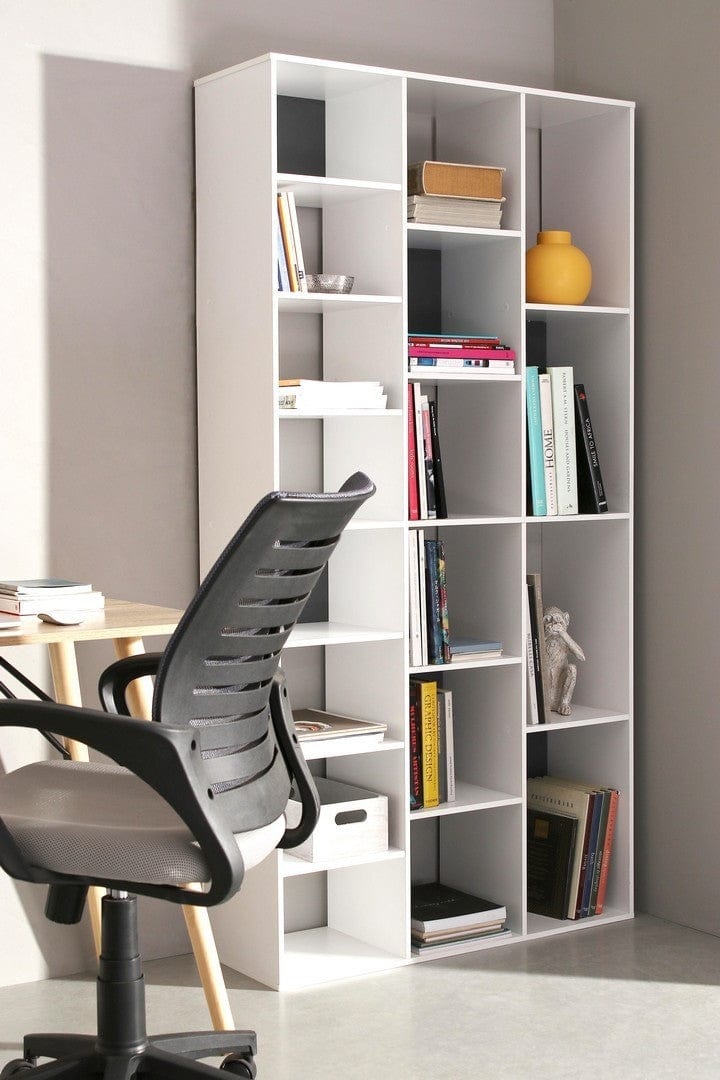 Libreria Arctic A Bianco e Nero (1)