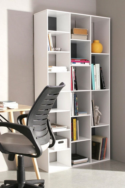 Libreria Arctic A Bianco e Nero (1)