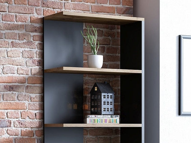 Libreria Cornelis Quercia (2)