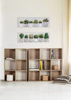 Libreria Mila A Naturale (1)