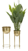 P/Vasi Glam Coppia cm Ø 27x62-21,5x52 (2)