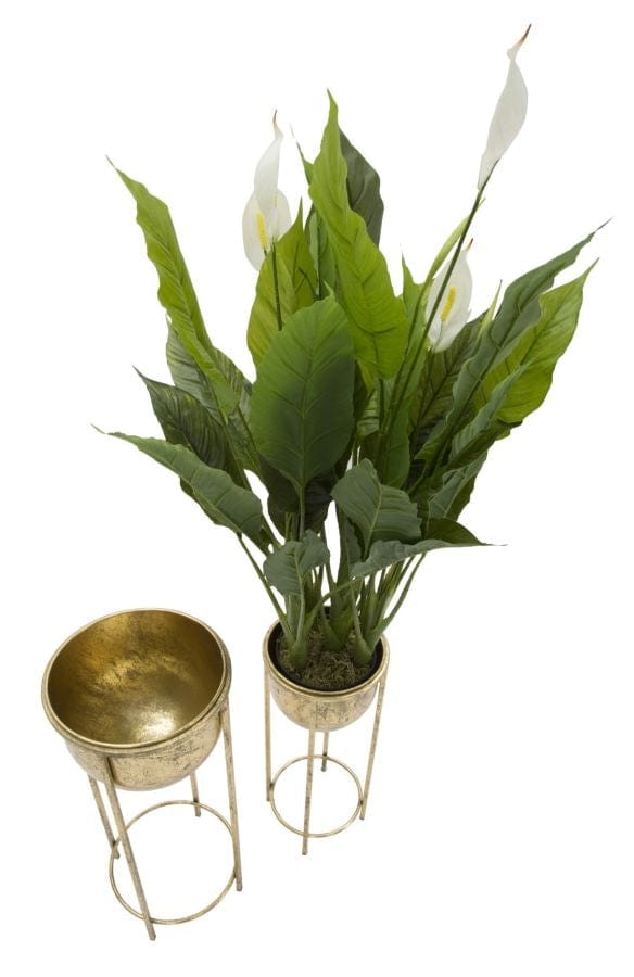 P/Vasi Glam Coppia cm Ø 27x62-21,5x52 (3)