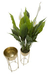 P/Vasi Glam Coppia cm Ø 27x62-21,5x52 (3)