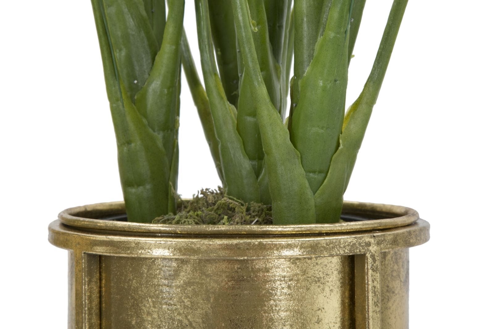P/Vasi Glam Coppia cm Ø 27x62-21,5x52 (6)