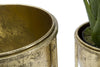 P/Vasi Glam Coppia cm Ø 27x62-21,5x52 (7)