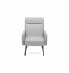Poltrona Scottie Grigio (5)
