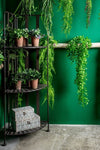 Bizzotto Scaffale pieghevole da giardino Ray Corner Piccola Marrone