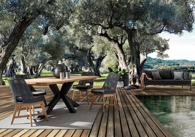 Set di 2 sedie da giardino Hesperia Grigio (3)