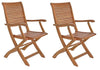 Set di 2 sedie da giardino pieghevole Noemi Naturale